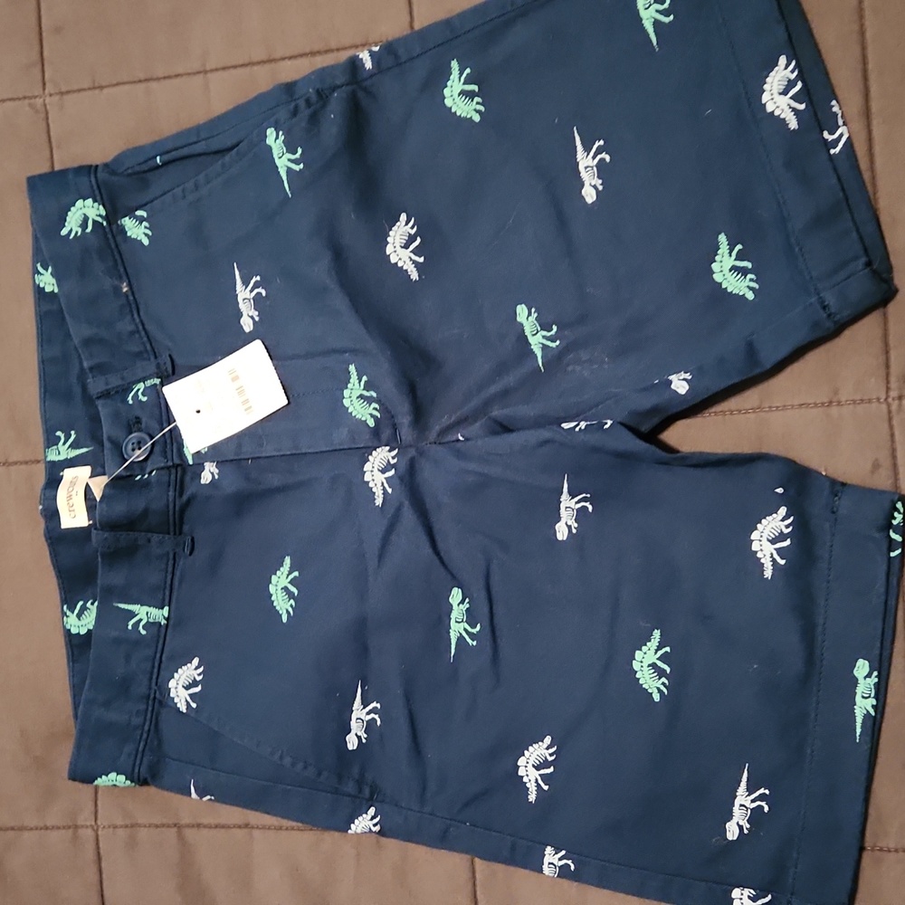 Boys dinosaur naavy and green shorts